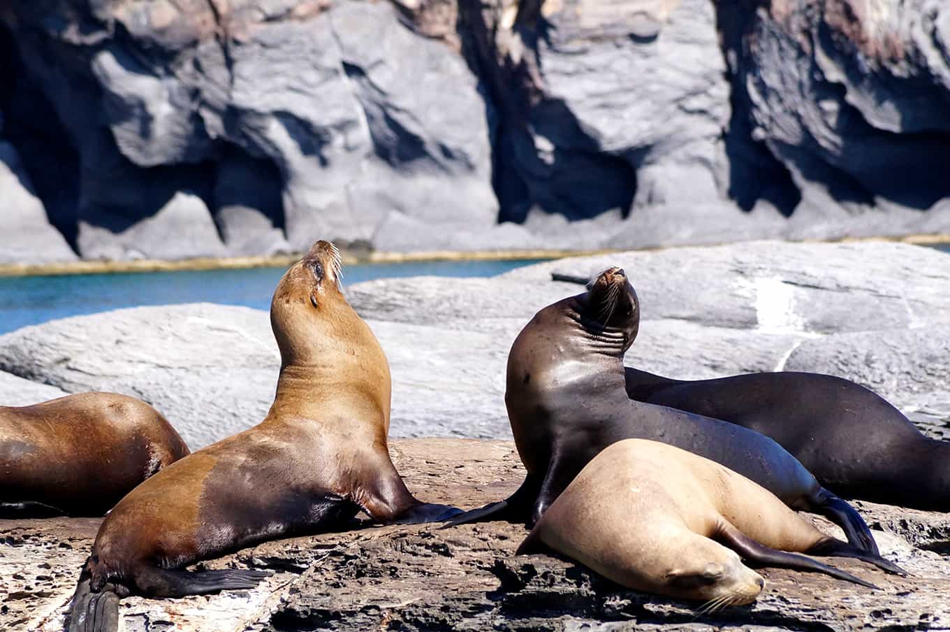 Mobydick Dominican Republic