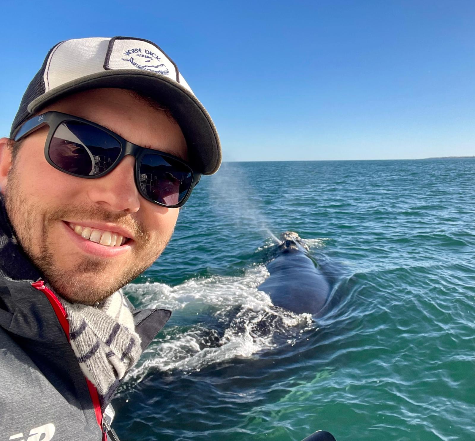 Mobydick Alex whales